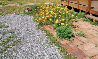 🌿 Vive en la precordillera de San Fernando  Se vende hermosa parcela de 5.200 m² con casa, ubicada en Sector El Llano, pasado Puente Negro, en un ent