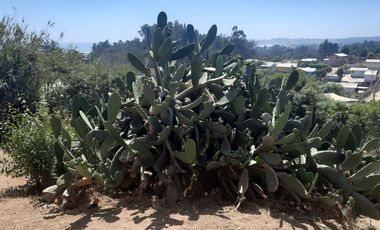 HERMOSA CASA EN SAN SEBASTIAN, A SOLO 15 MINUTOS CAMINANDO HACIA LA PLAYA