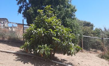 HERMOSA CASA EN SAN SEBASTIAN, A SOLO 15 MINUTOS CAMINANDO HACIA LA PLAYA
