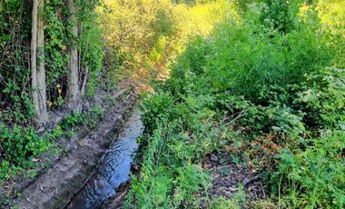 🌟 ¡GRAN OPORTUNIDAD DE INVERSIÓN EN COMUNA DE NANCAGUA, EN LA SEXTA REGIÓN! 🌿