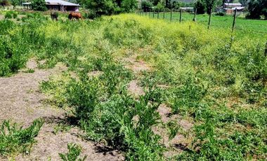 🌟 ¡GRAN OPORTUNIDAD DE INVERSIÓN EN COMUNA DE NANCAGUA, EN LA SEXTA REGIÓN! 🌿