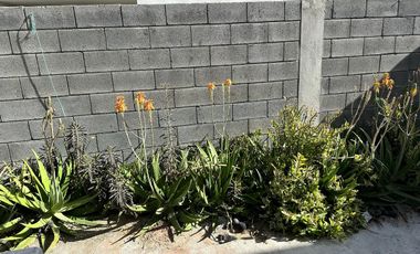 Casa en Renta – Módena Residencial, Apodaca, N.L. (No amueblada | Solo equipada)