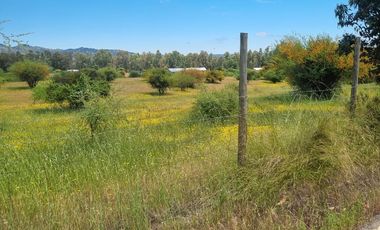 Venta de parcelas de agrado Alto Piuchen //Marchigue [5000 mts2] con rol propio.