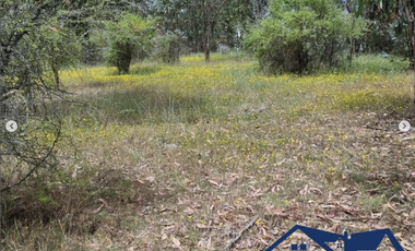 Venta de parcelas de agrado Alto Piuchen //Marchigue [5000 mts2] con rol propio.