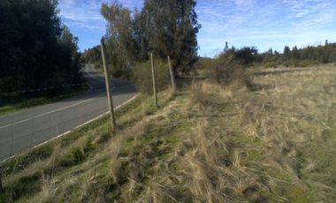 Venta de parcelas de agrado Alto Piuchen //Marchigue [5000 mts2] con rol propio.