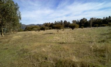 Venta de parcelas de agrado Alto Piuchen //Marchigue [5000 mts2] con rol propio.