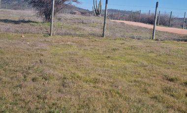 PARCELA PLANA EN MARCHIGUE, CON RADIER DE 160 MTRS2, SE ENTREGA CON AGUA