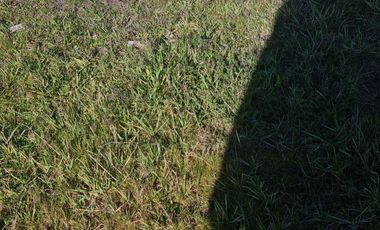 PARCELA PLANA EN MARCHIGUE, CON RADIER DE 160 MTRS2, SE ENTREGA CON AGUA