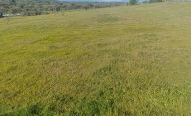 PARCELA PLANA EN MARCHIGUE, CON RADIER DE 160 MTRS2, SE ENTREGA CON AGUA