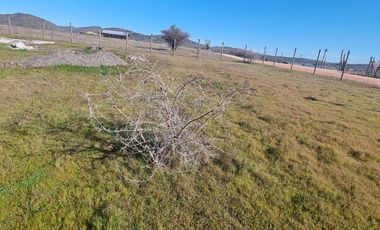 PARCELA PLANA EN MARCHIGUE, CON RADIER DE 160 MTRS2, SE ENTREGA CON AGUA