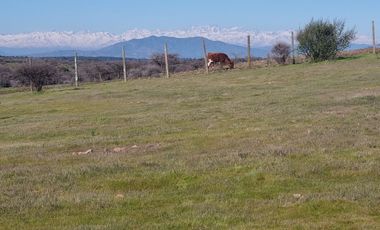 PARCELA PLANA EN MARCHIGUE, CON RADIER DE 160 MTRS2, SE ENTREGA CON AGUA
