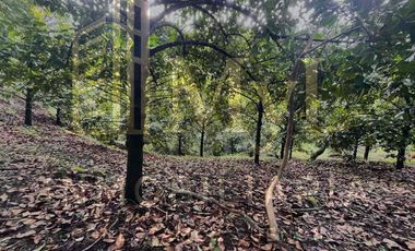 Venta de finca para desarrollo inmobiliario en La Mesa Cundinamarca