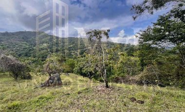 Venta de finca para desarrollo inmobiliario en La Mesa Cundinamarca