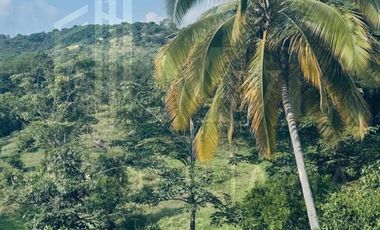 Venta de finca para desarrollo inmobiliario en La Mesa Cundinamarca