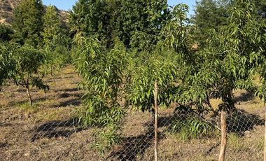 SE VENDE PARCELA EN COINCO