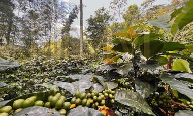 Venta de finca en Tena Cundinamarca