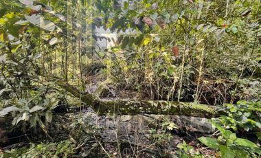 Venta de finca en Tena Cundinamarca