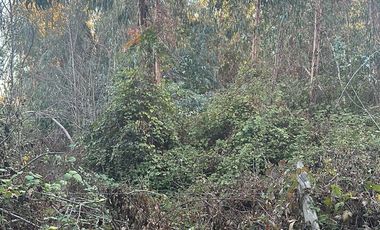 SE VENDE TERRENO EN LO MIRANDA DOÑIHUE
