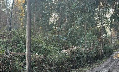 SE VENDE TERRENO EN LO MIRANDA DOÑIHUE