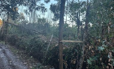 SE VENDE TERRENO EN LO MIRANDA DOÑIHUE