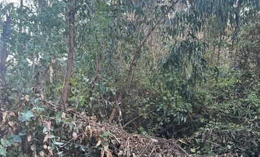 SE VENDE TERRENO EN LO MIRANDA DOÑIHUE
