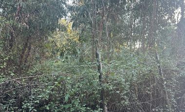SE VENDE TERRENO EN LO MIRANDA DOÑIHUE