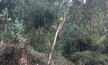 SE VENDE TERRENO EN LO MIRANDA DOÑIHUE