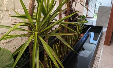 Diseño y exclusividad, la mejor casa en Lomas Angelópolis