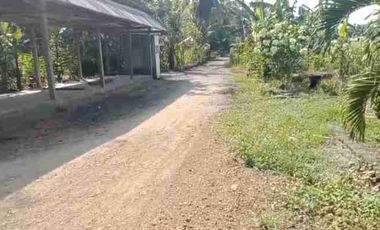 TANAH STRATEGIS MURAH DEKAT BANDARA NYIA BAGELAN PURWOREJO JATENG