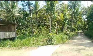 TANAH STRATEGIS MURAH DEKAT BANDARA NYIA BAGELAN PURWOREJO JATENG