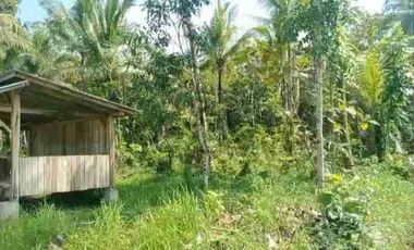 TANAH STRATEGIS MURAH DEKAT BANDARA NYIA BAGELAN PURWOREJO JATENG