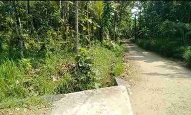 TANAH STRATEGIS MURAH DEKAT BANDARA NYIA BAGELAN PURWOREJO JATENG