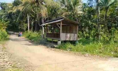 TANAH STRATEGIS MURAH DEKAT BANDARA NYIA BAGELAN PURWOREJO JATENG