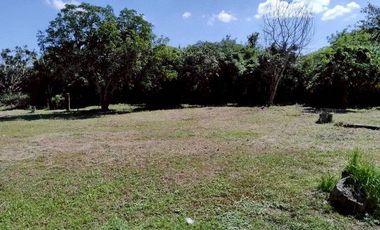 J71789 ขายบ้านเดี่ยว หนองช้างคืน อำเภอเมืองลำพูน ลำพูน