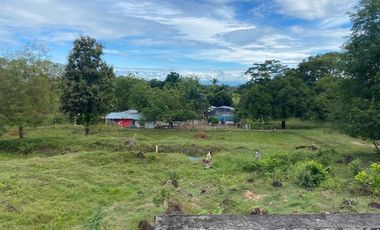 BONITA Y AMPLIA FINCA PARA TRABAJO (DOBLE PROPÓSITO) EN PURIFICACIÓN TOLIMA EN VENTA