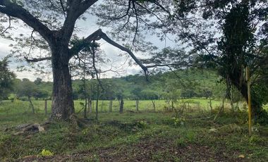 BONITA Y AMPLIA FINCA PARA TRABAJO (DOBLE PROPÓSITO) EN PURIFICACIÓN TOLIMA EN VENTA