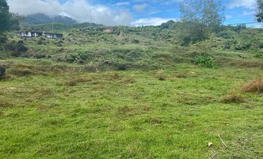 BONITA Y AMPLIA FINCA PARA TRABAJO (DOBLE PROPÓSITO) EN PURIFICACIÓN TOLIMA EN VENTA