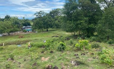 BONITA Y AMPLIA FINCA PARA TRABAJO (DOBLE PROPÓSITO) EN PURIFICACIÓN TOLIMA EN VENTA