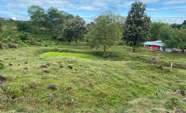 BONITA Y AMPLIA FINCA PARA TRABAJO (DOBLE PROPÓSITO) EN PURIFICACIÓN TOLIMA EN VENTA