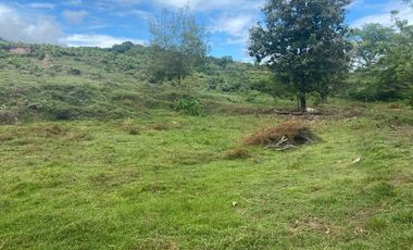 BONITA Y AMPLIA FINCA PARA TRABAJO (DOBLE PROPÓSITO) EN PURIFICACIÓN TOLIMA EN VENTA