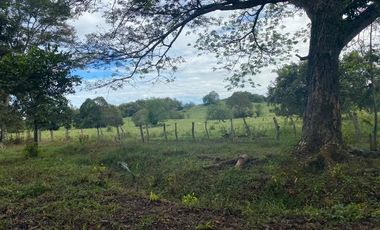 BONITA Y AMPLIA FINCA PARA TRABAJO (DOBLE PROPÓSITO) EN PURIFICACIÓN TOLIMA EN VENTA