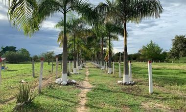 BONITA Y AMPLIA FINCA PARA TRABAJO (DOBLE PROPÓSITO) EN PURIFICACIÓN TOLIMA EN VENTA