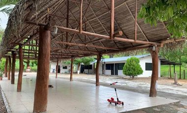 BONITA Y AMPLIA FINCA PARA TRABAJO (DOBLE PROPÓSITO) EN PURIFICACIÓN TOLIMA EN VENTA