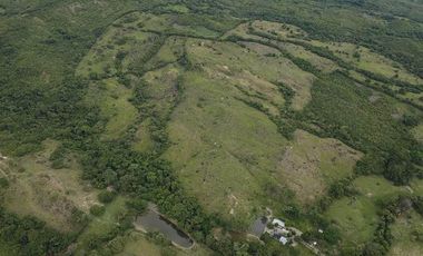 BONITA Y AMPLIA FINCA PARA TRABAJO (DOBLE PROPÓSITO) EN PURIFICACIÓN TOLIMA EN VENTA