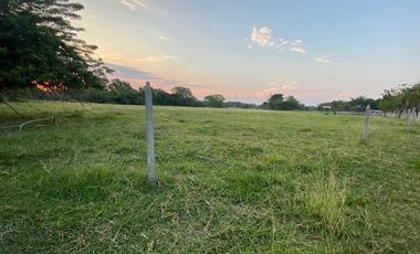 BONITA Y AMPLIA FINCA PARA TRABAJO (DOBLE PROPÓSITO) EN PURIFICACIÓN TOLIMA EN VENTA