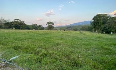 BONITA Y AMPLIA FINCA PARA TRABAJO (DOBLE PROPÓSITO) EN PURIFICACIÓN TOLIMA EN VENTA