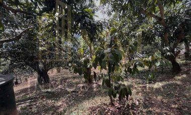 Venta de casa campestre en La Mesa Cundinamarca