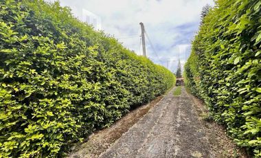 Venta de finca en La Mesa Cundinamarca