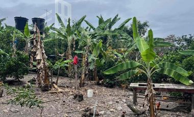 Venta de casa campestre en La Mesa Cundinamarca