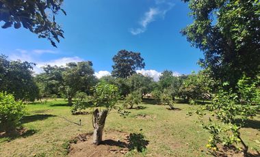 VENTA QUINTA FAMILIAR NORTE DE QUITO GUAYLLABAMBA